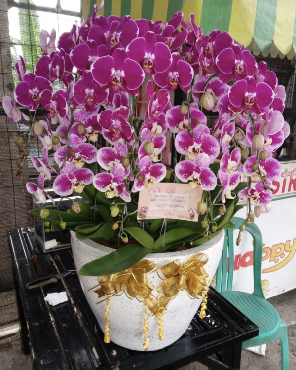bunga-anggrek-yans-florist RANGKAIAN ANGGREK TASIKMALAYA